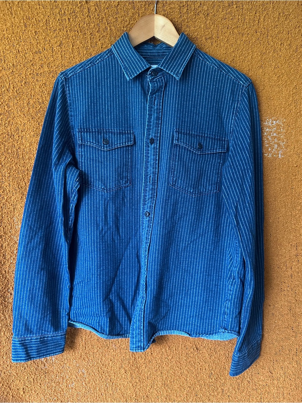 Goodfellow & Co Indigo Pinstripe Casual Button-Down Shirt